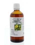 Grindelia robusta herba tinctuurFytotherapie8713589006739