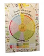 Remedies poster A2Boeken/folders8713286006339