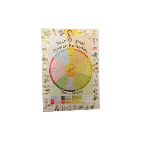 Remedies poster A2Boeken/folders8713286006339