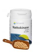 NattokinaseOverig gezondheidsproducten8715216208776