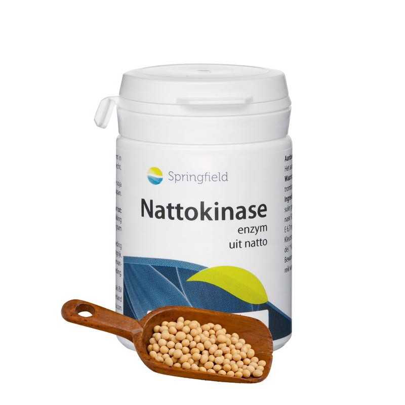 NattokinaseOverig gezondheidsproducten8715216208776