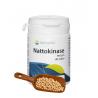 NattokinaseOverig gezondheidsproducten8715216208776