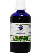 Ribes nigrum tinctuurFytotherapie8717473002579