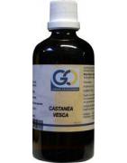 Castanea vesca bioFytotherapie8717473081857