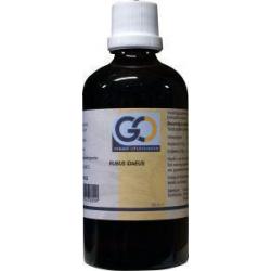 HGP019 Gemmoplex cholesterolFytotherapie8711224005451