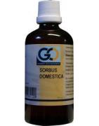 Sorbus domestica bioFytotherapie8717473082120