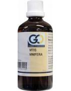 Vitis vinifera bioFytotherapie8717473082205