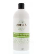 Shampoo brandnetelShampoo8714248008125