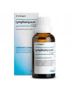 Lymphomyosot HArtikel 6 complex8714725038706