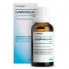 Lymphomyosot HArtikel 6 complex8714725038706