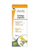 Solidago virgaurea bioOverig gezondheidsproducten5412360006137