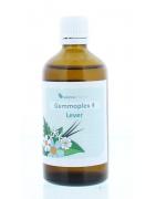 HGP004 Gemmoplex leverFytotherapie8711224005710