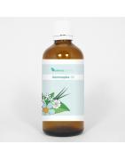 HGP030 Gemmoplex sinuslymfFytotherapie8711224005567