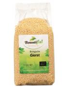 Gierst bioVoeding8718503324562