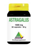 Astragalus wortelextract 1500mgFytotherapie8718591426537