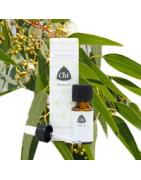 Eucalyptus citriod wildEtherische oliën/aromatherapie8714243012097