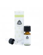 Gember CO2 extract eko bioEtherische oliën/aromatherapie8714243050112