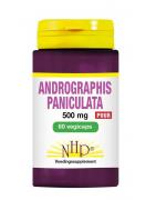 Andrographis paniculata 500mg puurVitamine enkel8718591426513