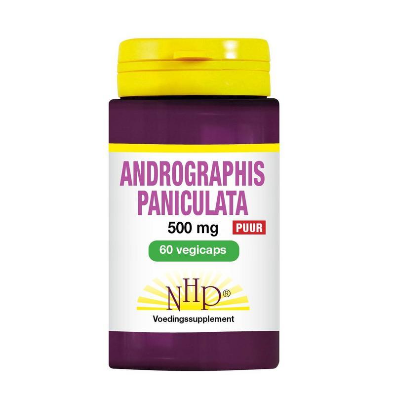 Andrographis paniculata 500mg puurVitamine enkel8718591426513