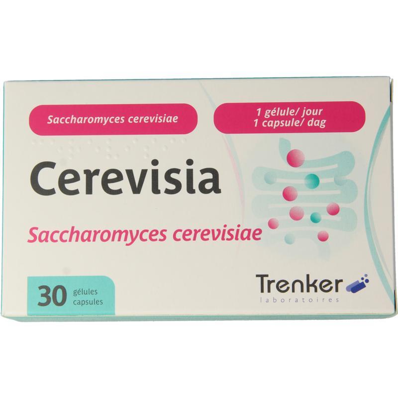 CerevisiaOverig vitaminen/mineralen5425003040573