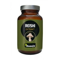 Brahmi 500 mgOverig gezondheidsproducten8717729082058