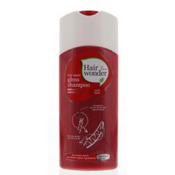 Shampoo hair equilibrantShampoo3661434011962