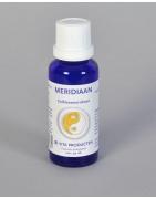 Meridiaan galblaas meridiaanOverig gezondheidsproducten8711133082789