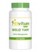 Wild Yam 100mg 16% diosgenineOverig gezondheidsproducten8718421581474