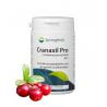 Cranaxil Pro cranberryconcentrate 500mgOverig gezondheidsproducten8715216213008