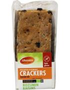 Crackers rozijnen bioKoek8715061011941