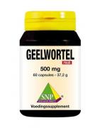 Geelwortel curcuma 500 mg puurFytotherapie8718591420474