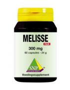 Melisse 300 mg puurFytotherapie8718591420764