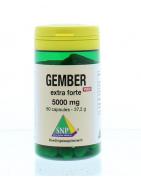 Gember 5000 mg puurFytotherapie8718591420498