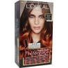 Preference ombre copper 7.4Haarkleuring3600522486145