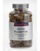 Mulberry bessen (moerbeien)Voeding8717473098404