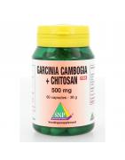 Garcinia cambogia chitosan 500mg puurSlank/dieet voedingssupplement8718591421457