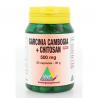 Garcinia cambogia chitosan 500mg puurSlank/dieet voedingssupplement8718591421457