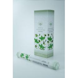 Wierook cinnamon spiceEtherische oliën/aromatherapie8903664100104