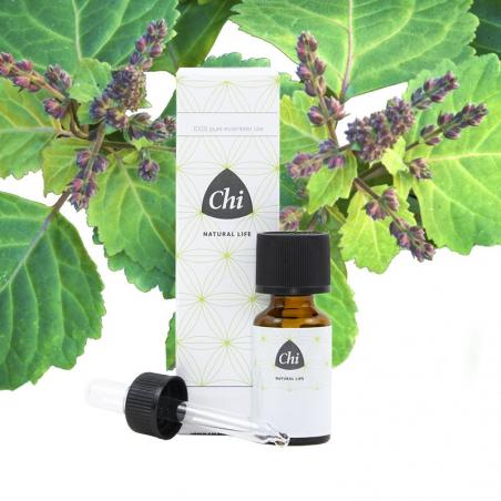 Patchouli cultivarEtherische oliën/aromatherapie8714243019867