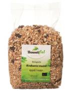 Granola appel rozijn muesli bioVoeding8718503324159