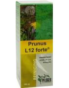 Prunus L12 forteFytotherapie8713286009361