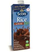 Rice drink cocoa bioDranken8001860254888