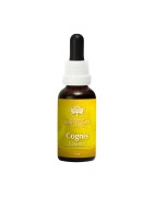 Focus (Cognis)essenceEtherische oliën/aromatherapie93468213