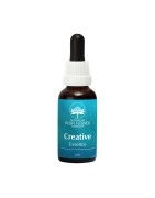 Creative essenceEtherische oliën/aromatherapie93468305