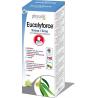 Eucalyforce siroop suikervrijOverig gezondheidsproducten5412360003495