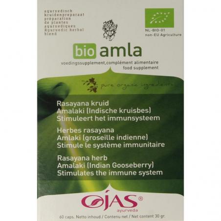 Amla bioAyurveda8717496089045