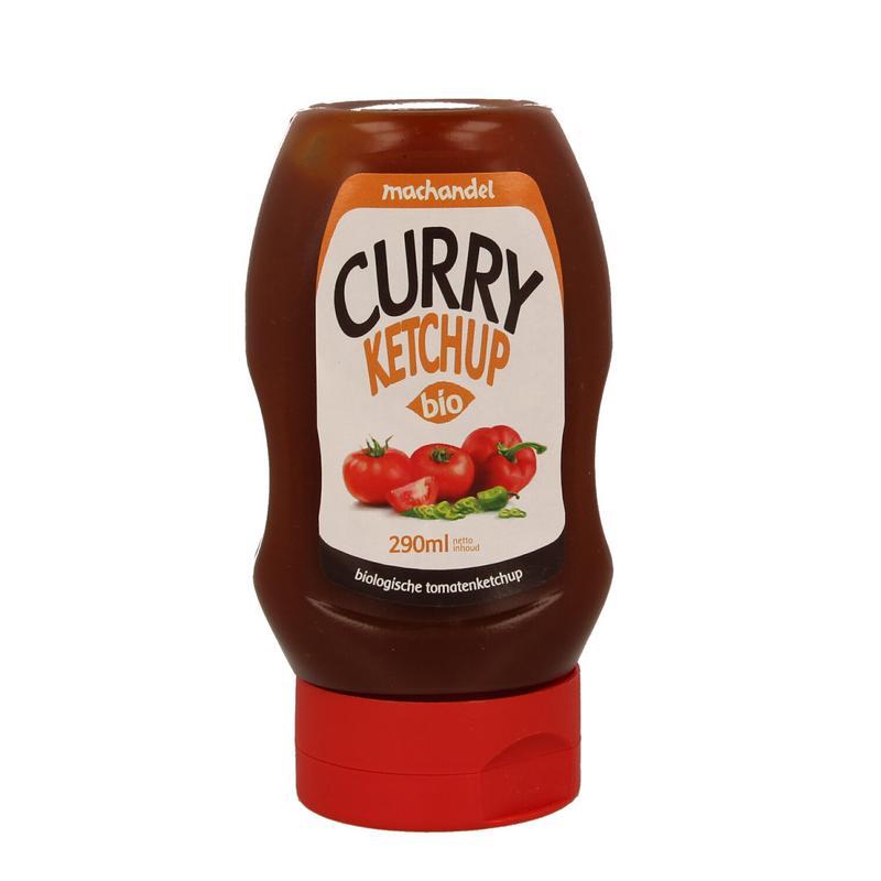 Curry ketchup fles bioVoeding8713938003839