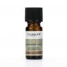 Cedarwood (cederhout) atlas wild craftedEtherische oliën/aromatherapie5017402011508