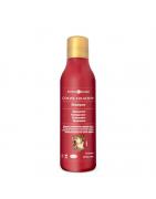 Color fixation shampooConditioner7896544700208