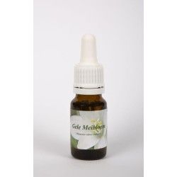 Zwarte kummel olie koudgeperstEtherische oliën/aromatherapie8713589002045